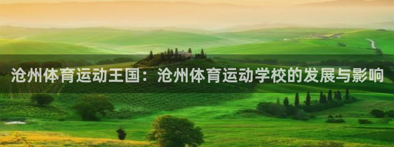 上海杏耀汽车电子有限公司