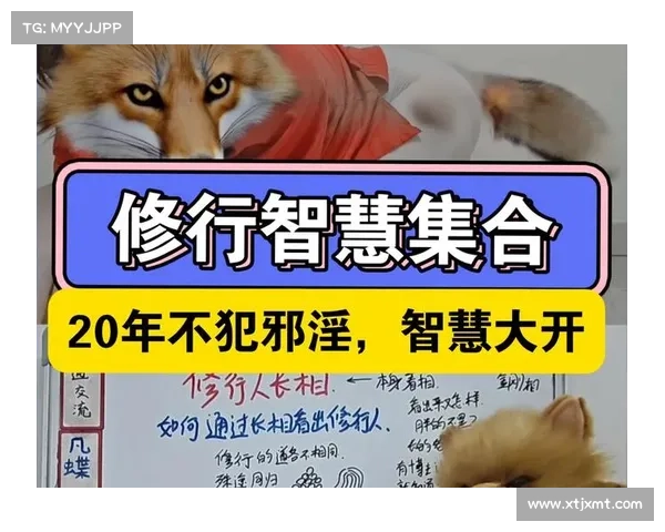 从修行智慧角度浅谈如何理解问道精怪背后的奥秘与启示 从修行智慧角度浅谈如何理解问道精怪背后的奥秘与启示