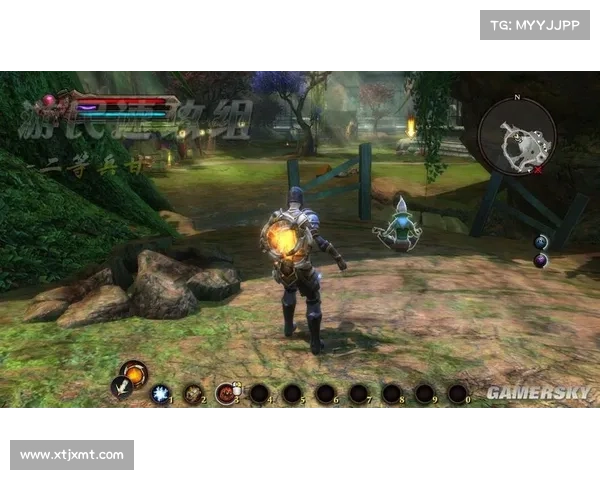 从阿玛拉王国惩罚背包看游戏设定对现实社会规则的深层映射