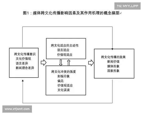 巴舒亚伊多语能力探索及其跨文化交流影响研究
