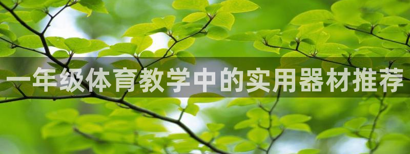 杏耀代理官网