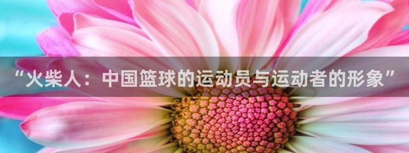 成都杏耀电子有限公司
