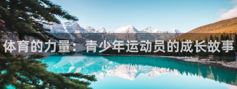 杏耀官网注册