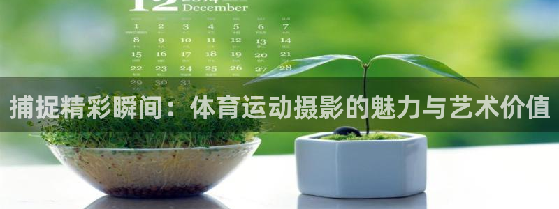 成都杏耀电子有限公司