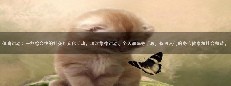 杏耀登录线路测速