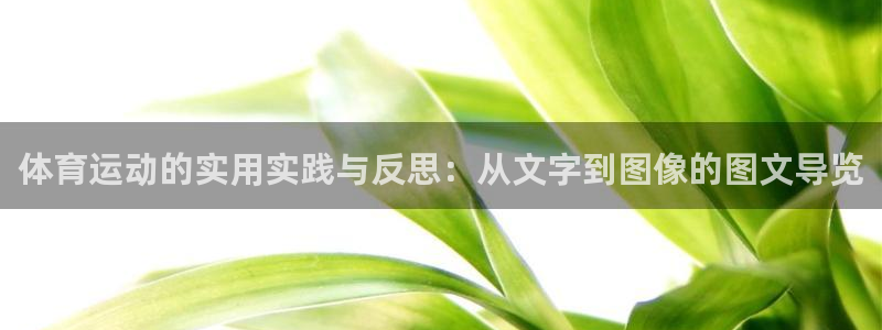 杏耀体育官网