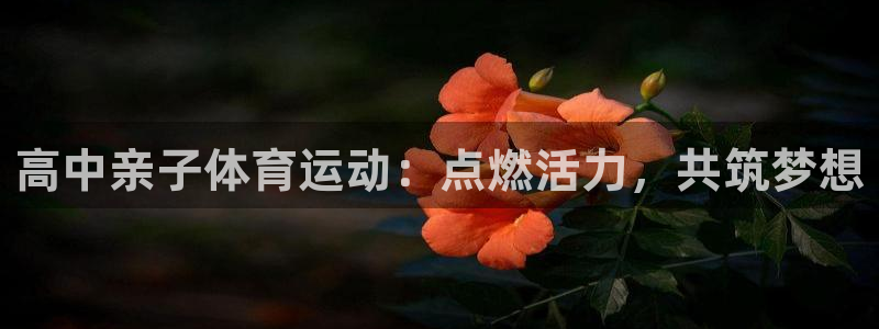 杏耀集团