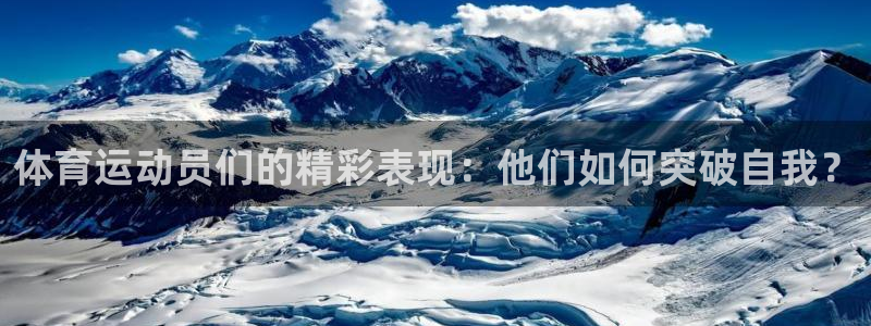 杏耀手机登录线路测速