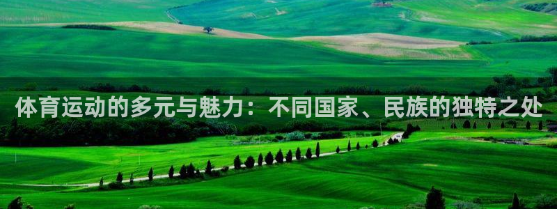 杏耀体育平台注册