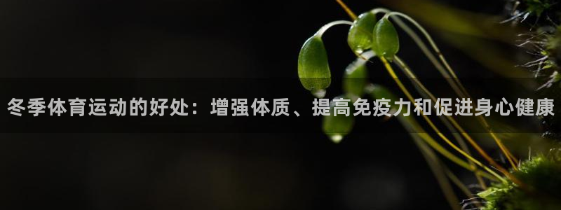 杏耀包怎么样