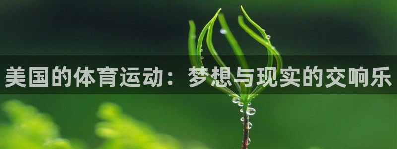 杏耀体育用品