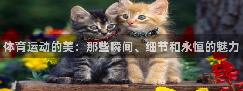 杏耀平台主管
