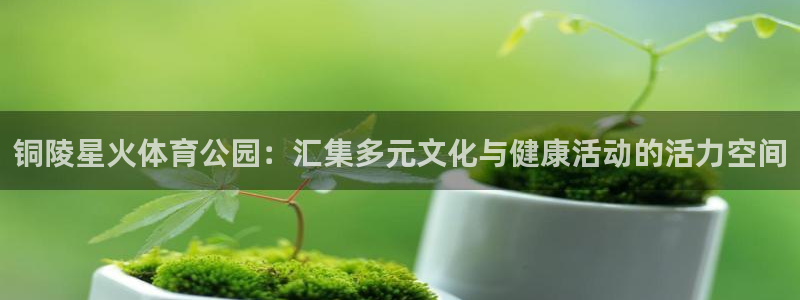 杏耀2登录