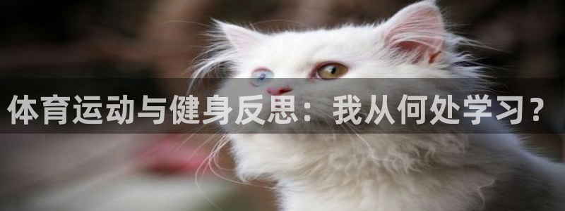 杏耀3官网