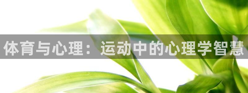 杏耀3登录