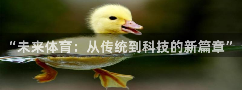 杏耀体育2官网入口