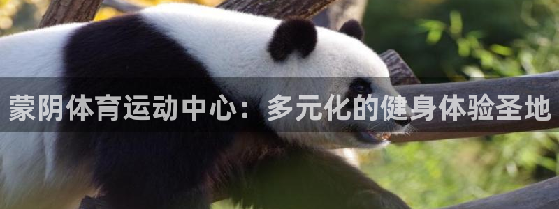杏耀账号注册官网入口