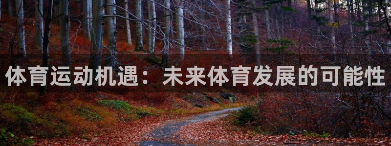 杏耀体育代理申请流程
