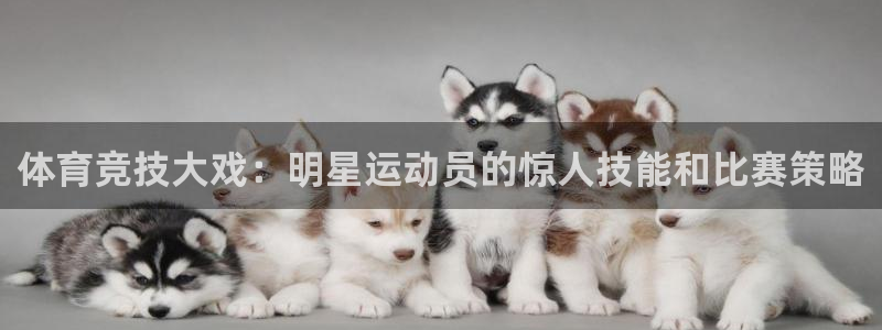 东莞市杏耀电子科技有限公司