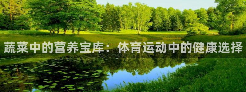 杏耀代理官网