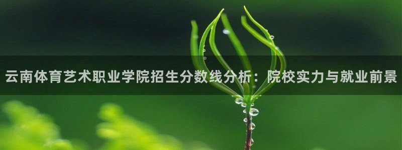 杏耀体育合法嘛