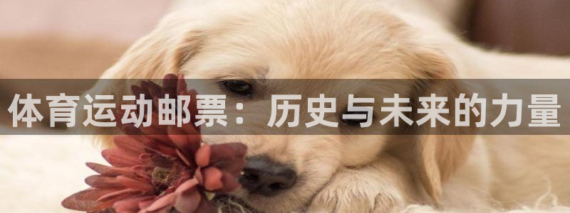 杏耀平台登录官网
